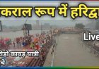 हरिद्वार में बारिश से जनजीवन प्रभावित, कई इलाकों में जलभराव; मौसम विभाग का अलर्ट, हाथी के हमले में ग्रामीण की मौत