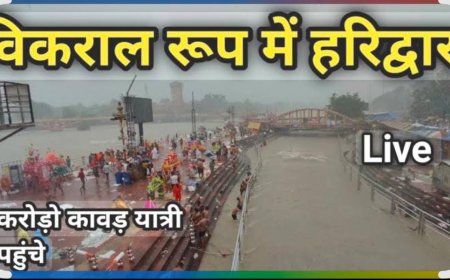 हरिद्वार में बारिश से जनजीवन प्रभावित, कई इलाकों में जलभराव; मौसम विभाग का अलर्ट, हाथी के हमले में ग्रामीण की मौत