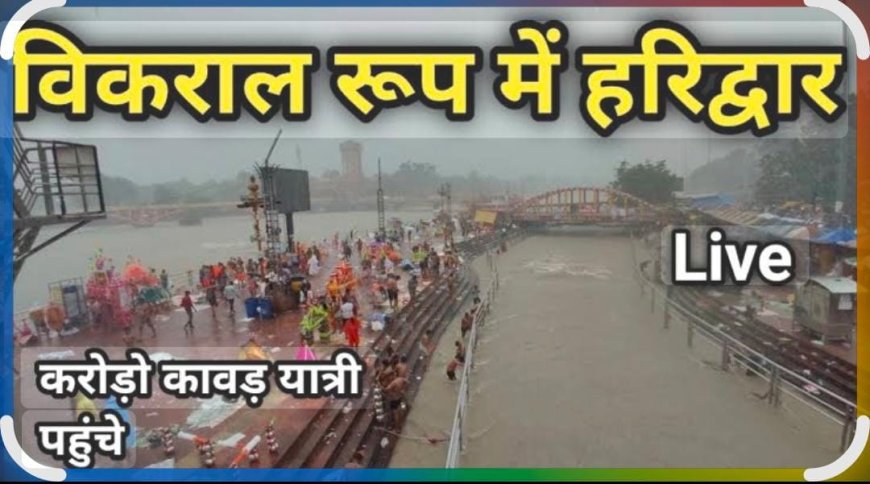 हरिद्वार में बारिश से जनजीवन प्रभावित, कई इलाकों में जलभराव; मौसम विभाग का अलर्ट, हाथी के हमले में ग्रामीण की मौत