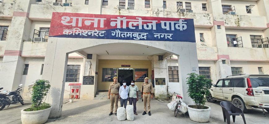 नॉलेज पार्क पुलिस ने 23.6 किलो गांजा के साथ दो तस्करों को किया गिरफ्तार
