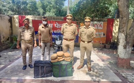 नोएडा में गांजा तस्करी का खुलासा, 41.4 किलो गांजा बरामद