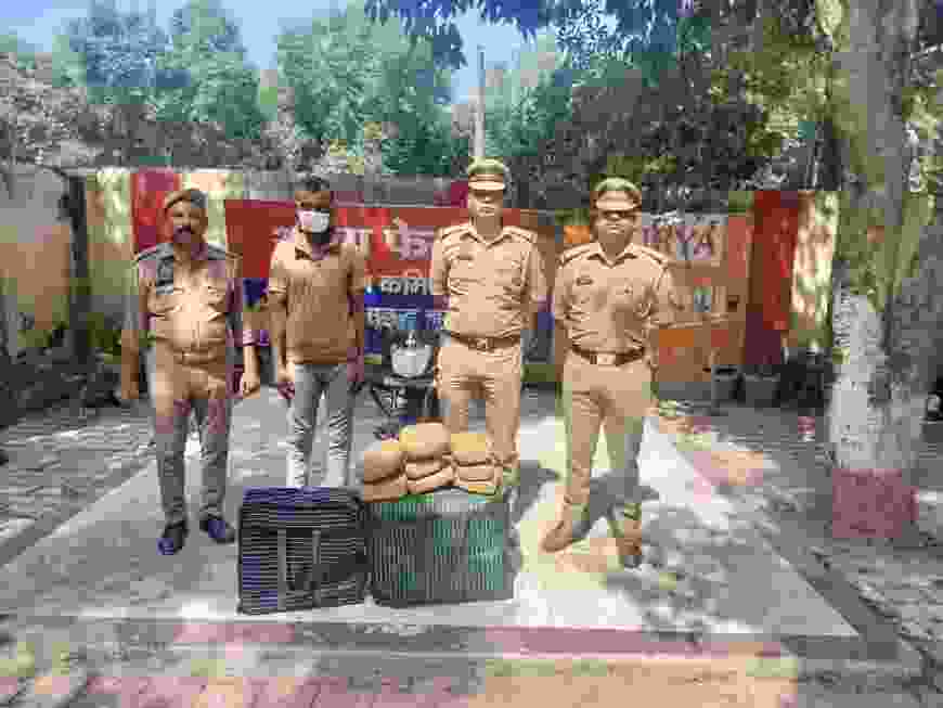 नोएडा में गांजा तस्करी का खुलासा, 41.4 किलो गांजा बरामद